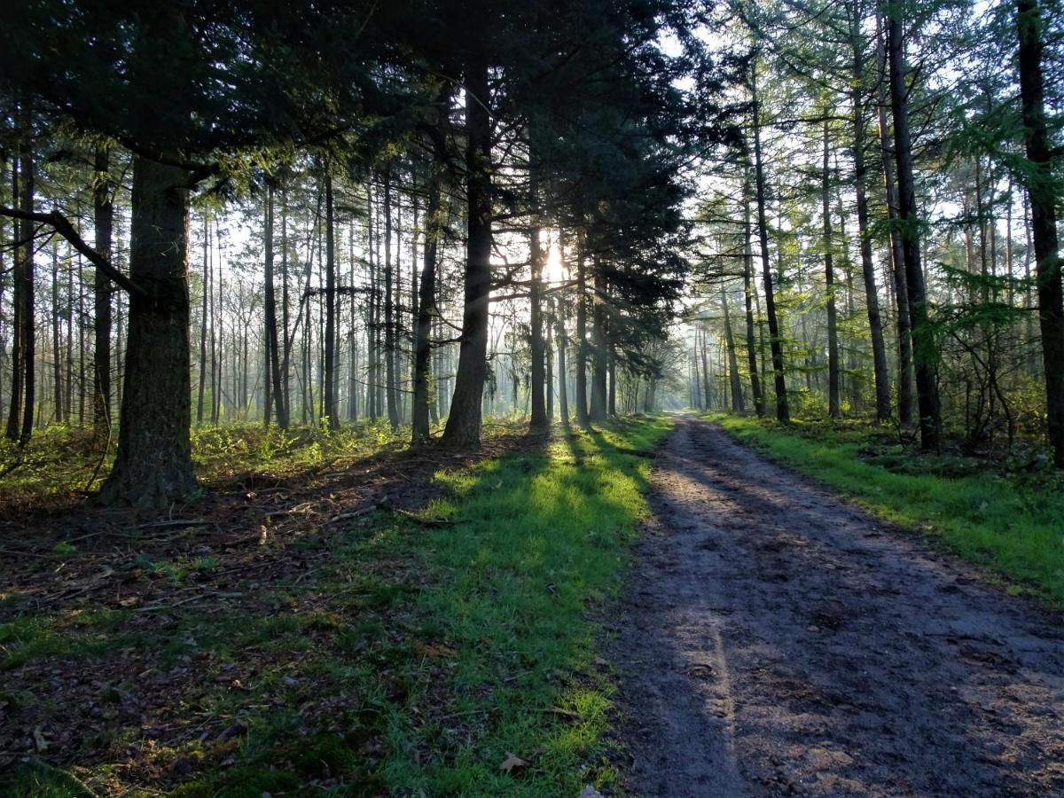Veluwe Park Reewold Chalet Infinity Putten Eksteriør bilde