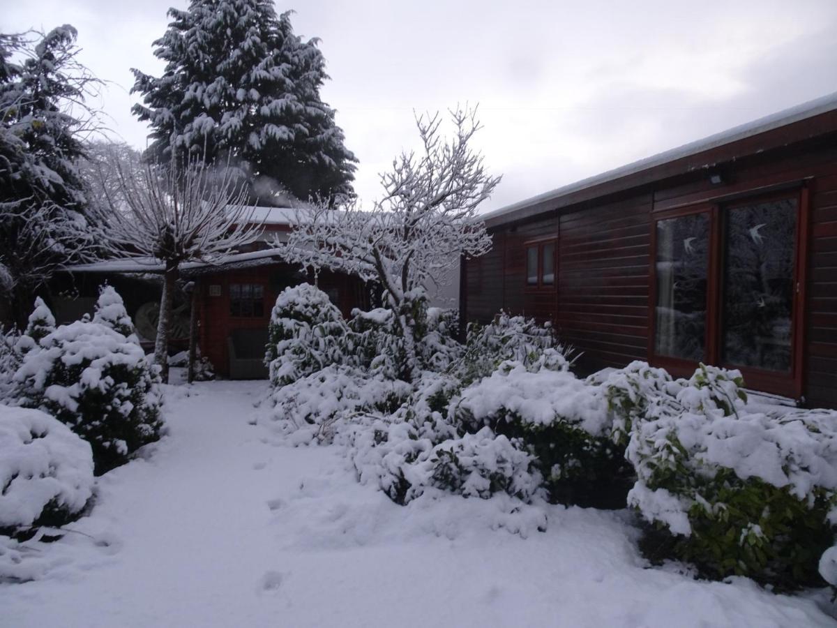 Veluwe Park Reewold Chalet Infinity Putten Eksteriør bilde